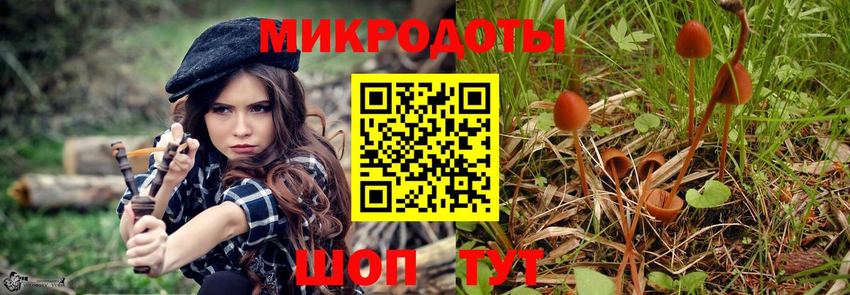 Псилоцибиновые грибы прущие грибы  Псилоцибиновые грибы MAGIC MUSHROOMS  Благодарный  Вход с VPN 